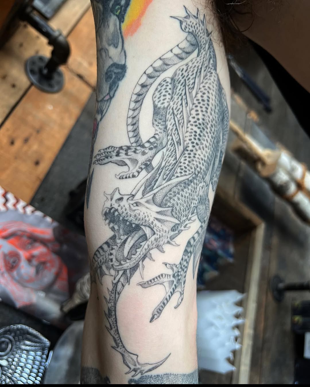 Dragon