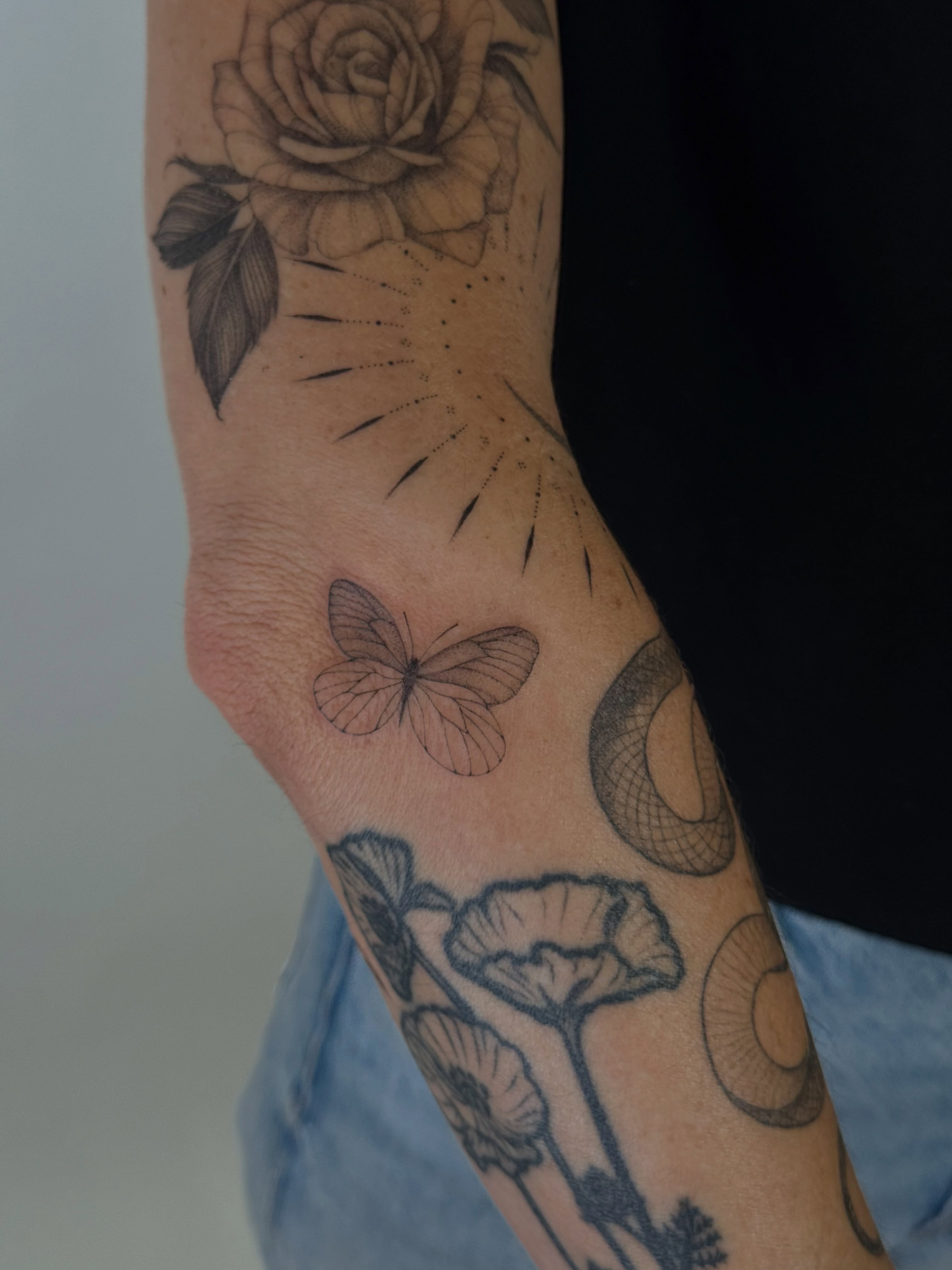 Flower, Animal, Nature, Rose