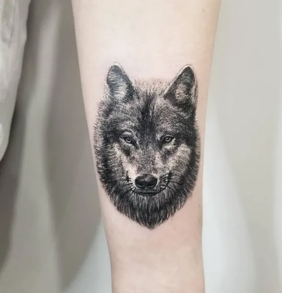 여우, 늑대, 늑대인간, Animal