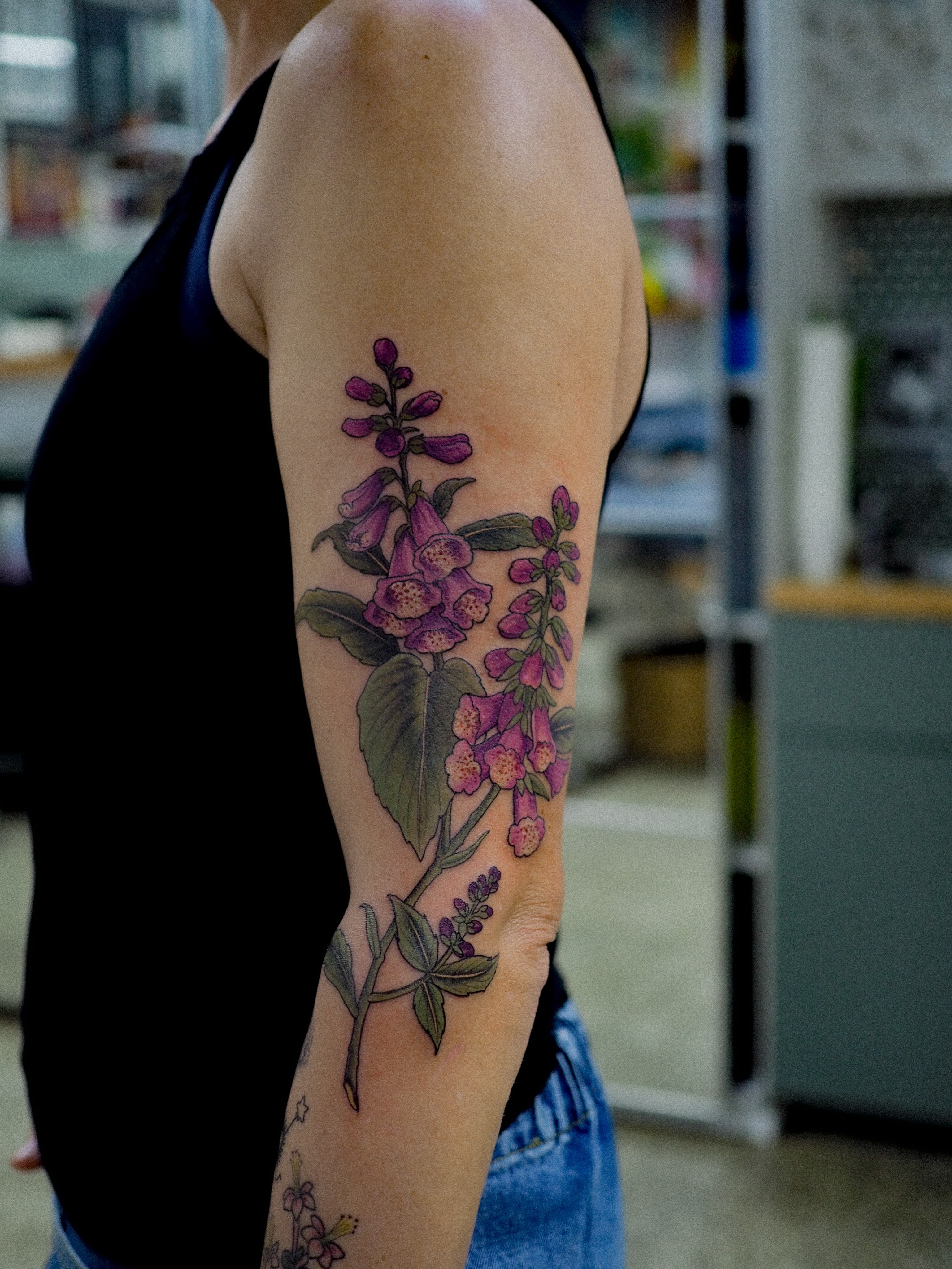 Flower, Rose