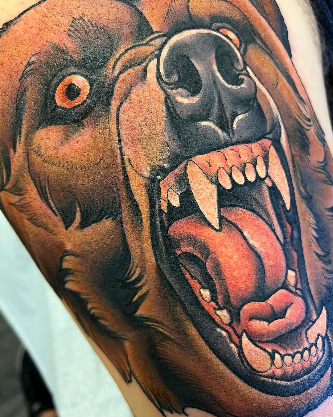 Animal, Tiger