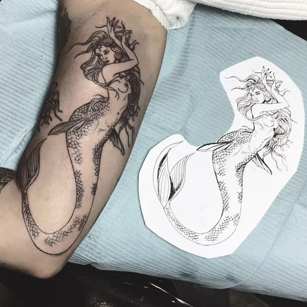 Dragon, Animal