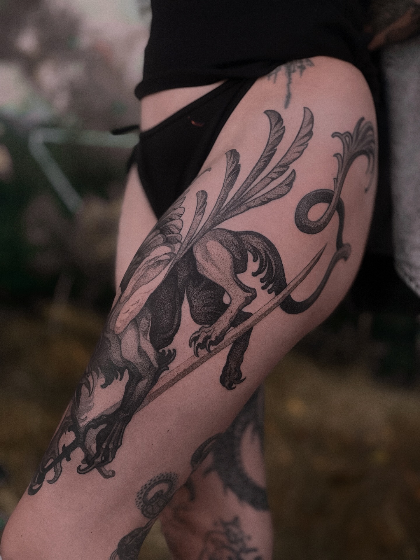 Dragon