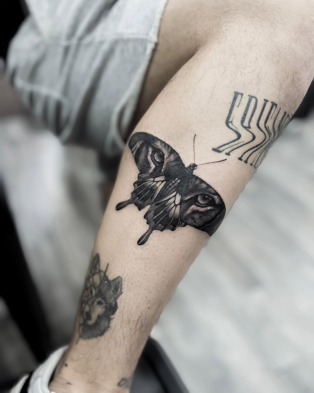 Animal, Nature