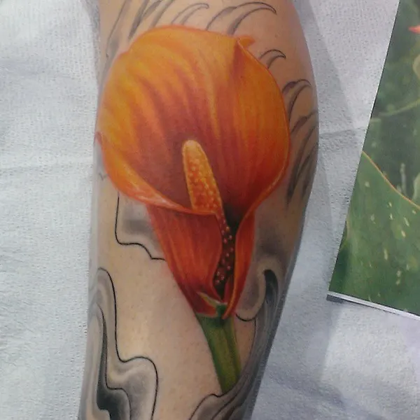 Flower, 튤립