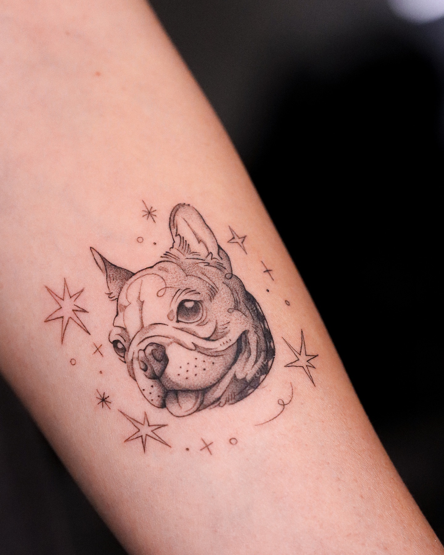 fawn.ink