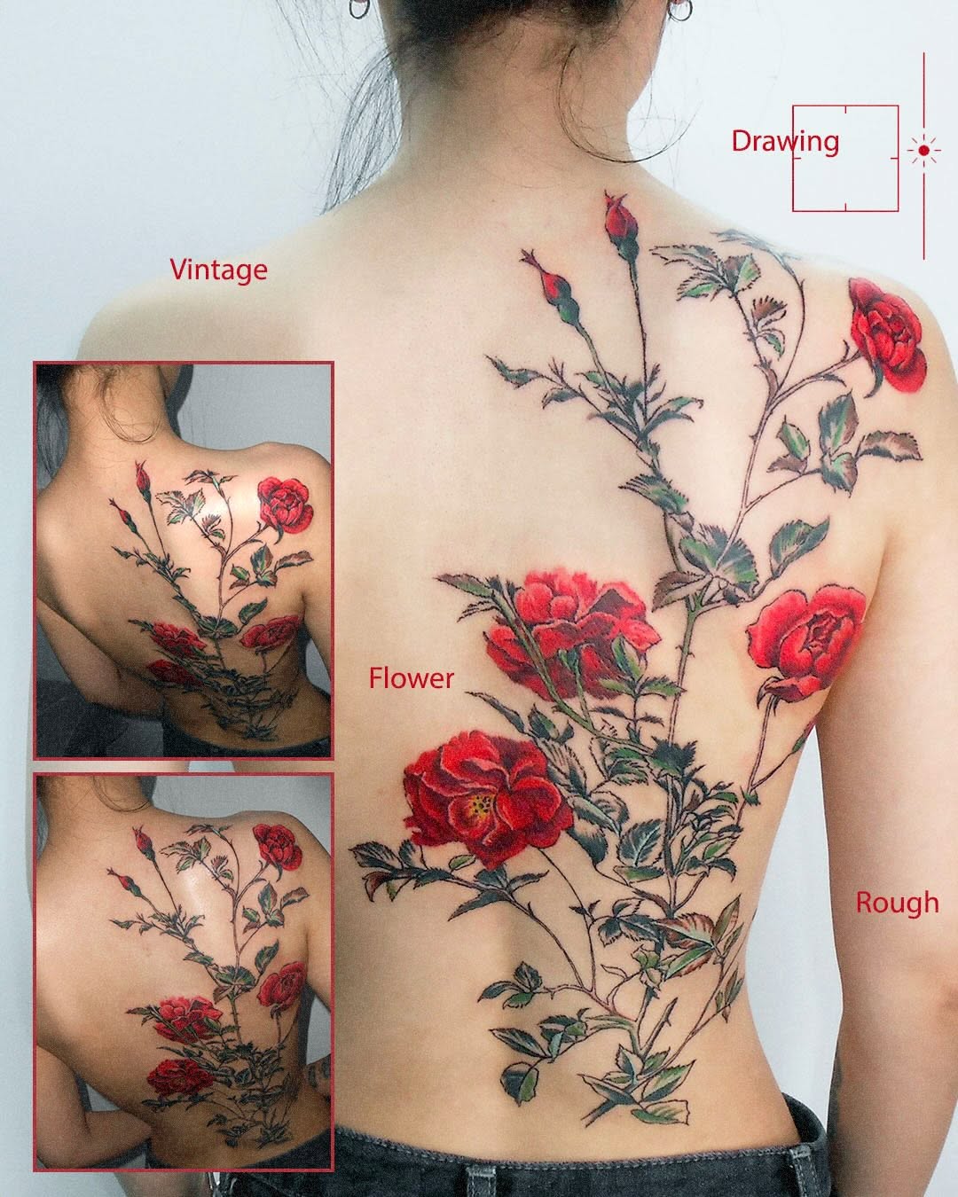 Nature, Rose, Flower