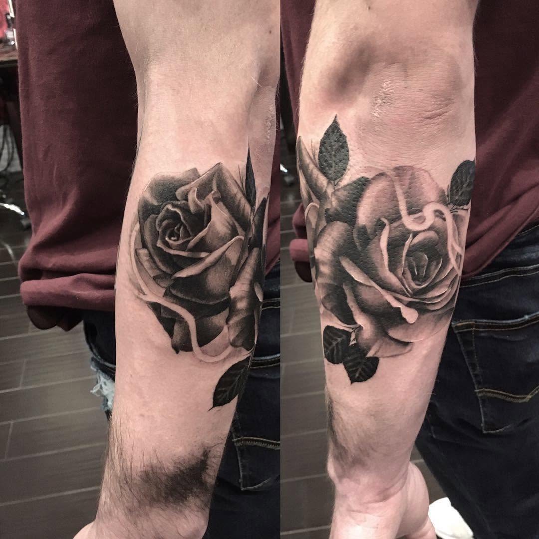 Flower, Rose