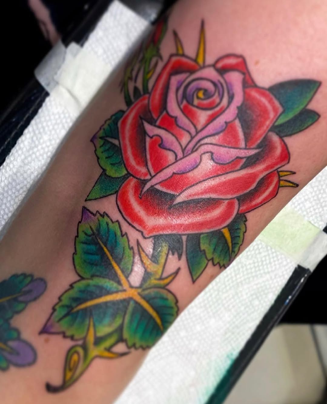 Flower, Rose