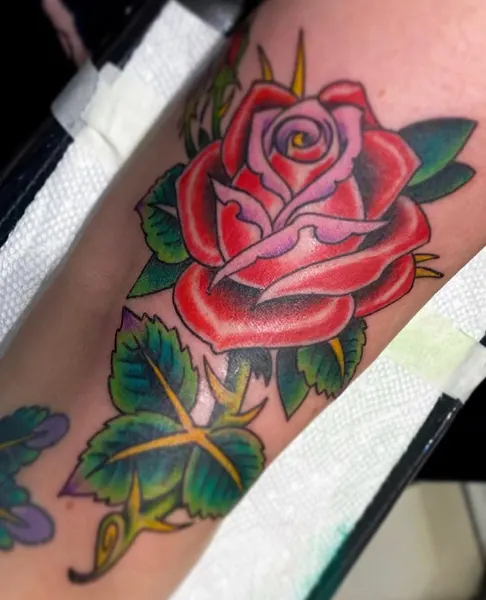 Flower, Rose