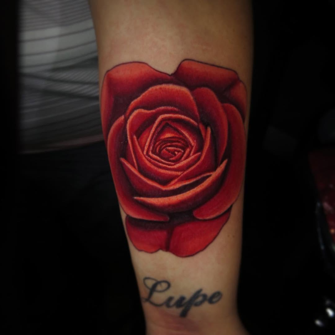 Flower, Rose