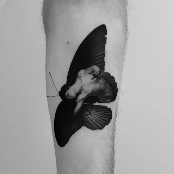 Animal, Nature