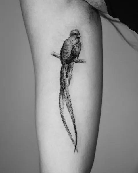 40.tatt