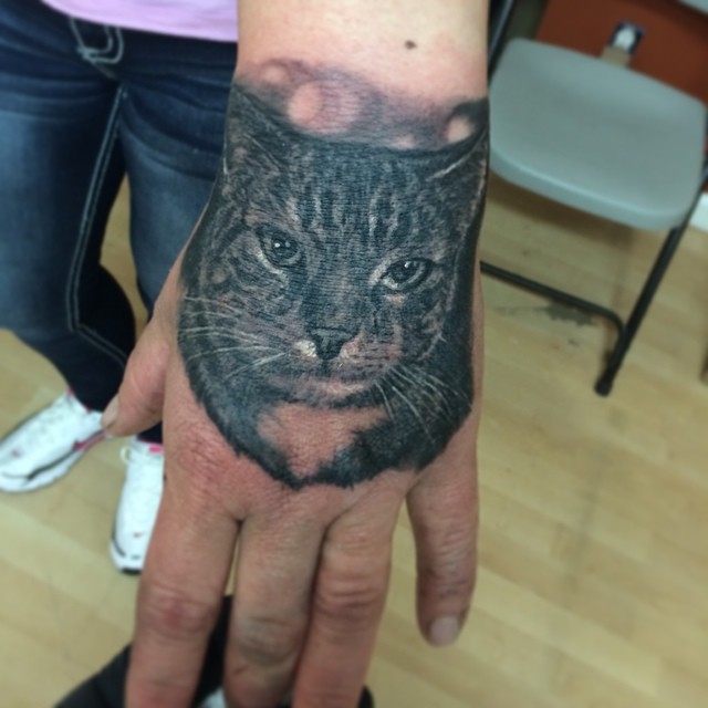 Animal