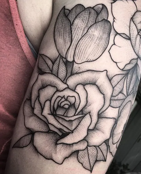 Flower, Rose, Nature
