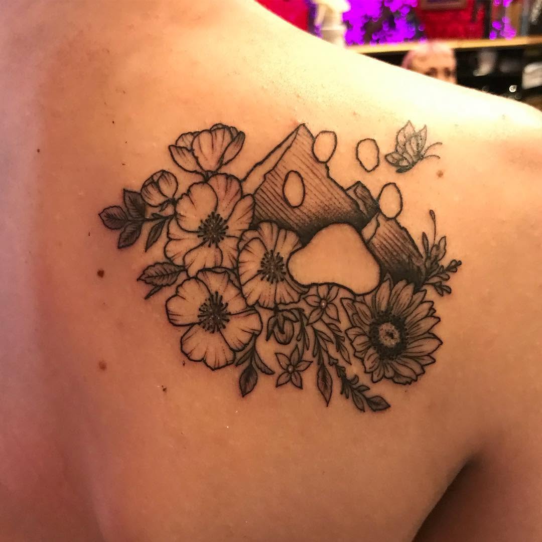 Flower, Nature, Rose