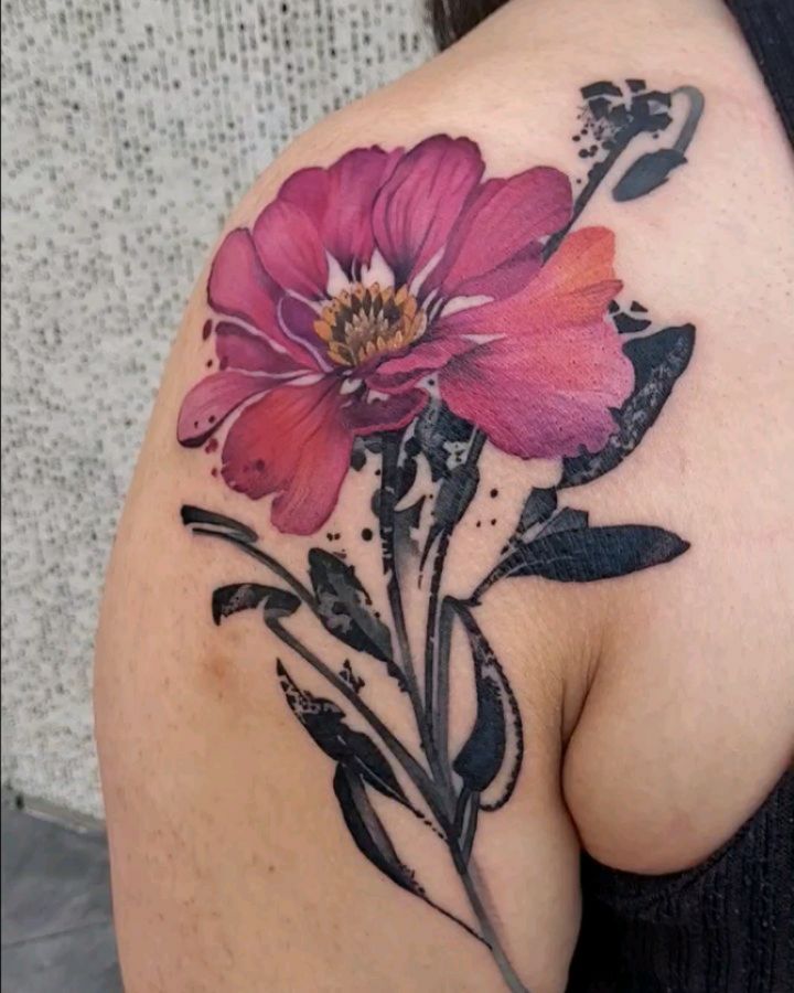 Flower, Rose, Nature