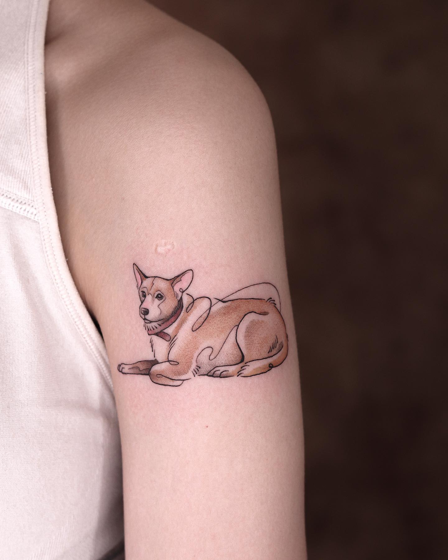 fawn.ink