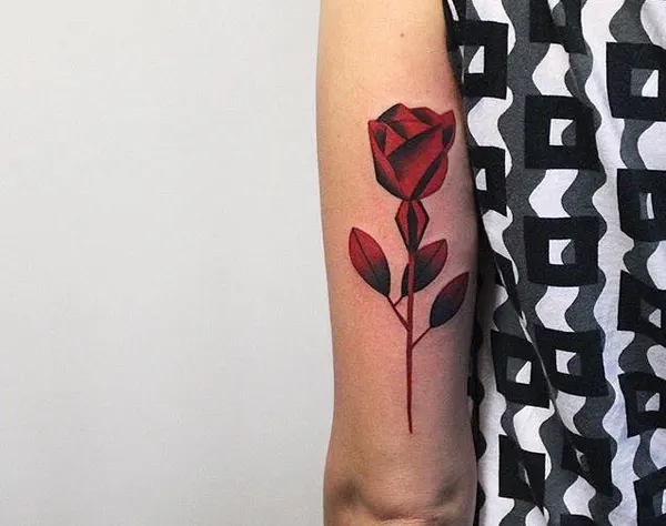 Flower, Rose