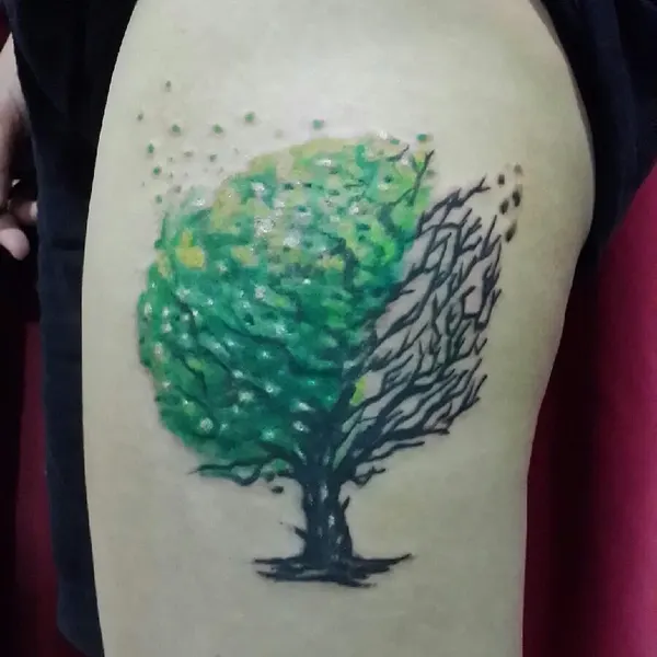 Nature
