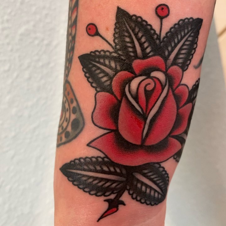Flower, Rose