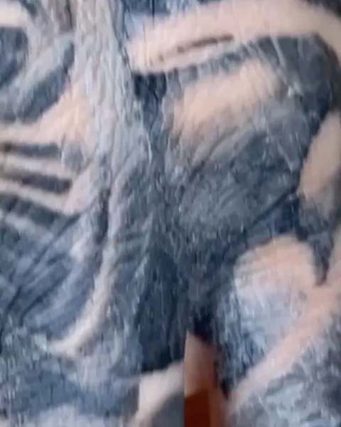 Daniel Rocha