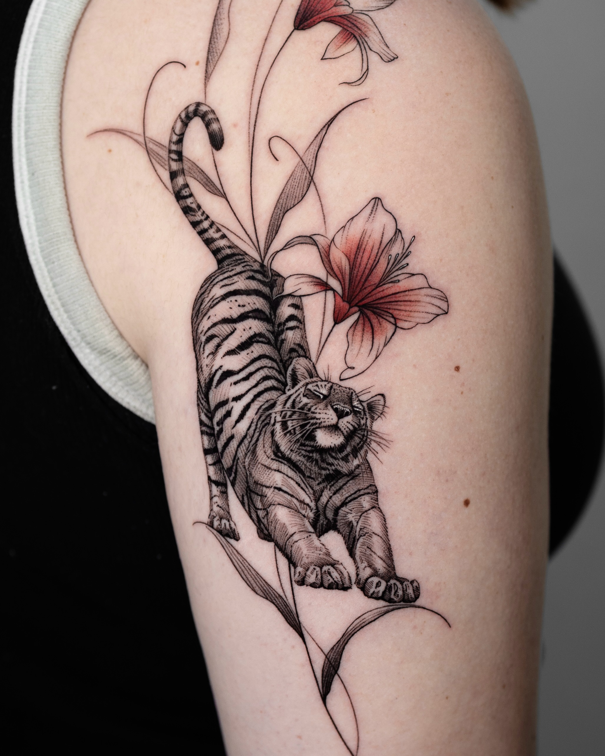 Flower, Rose