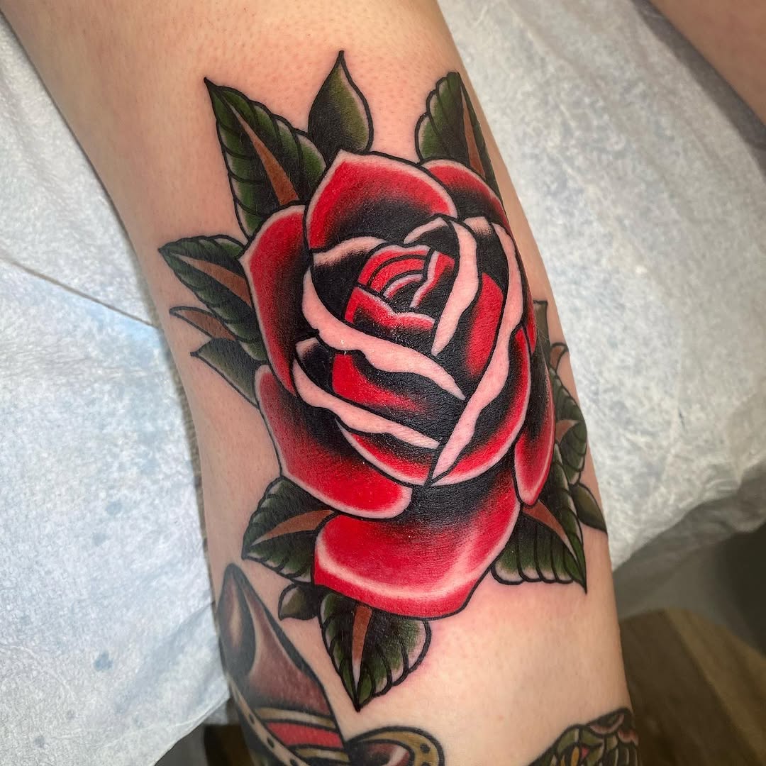 Flower, Rose