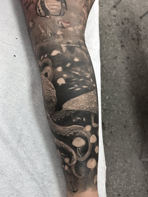 Animal, Dragon