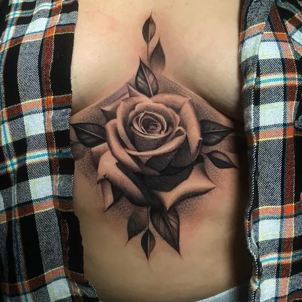 Flower, Rose, Nature