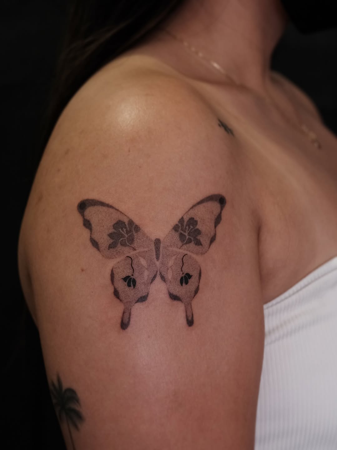 Animal, Nature