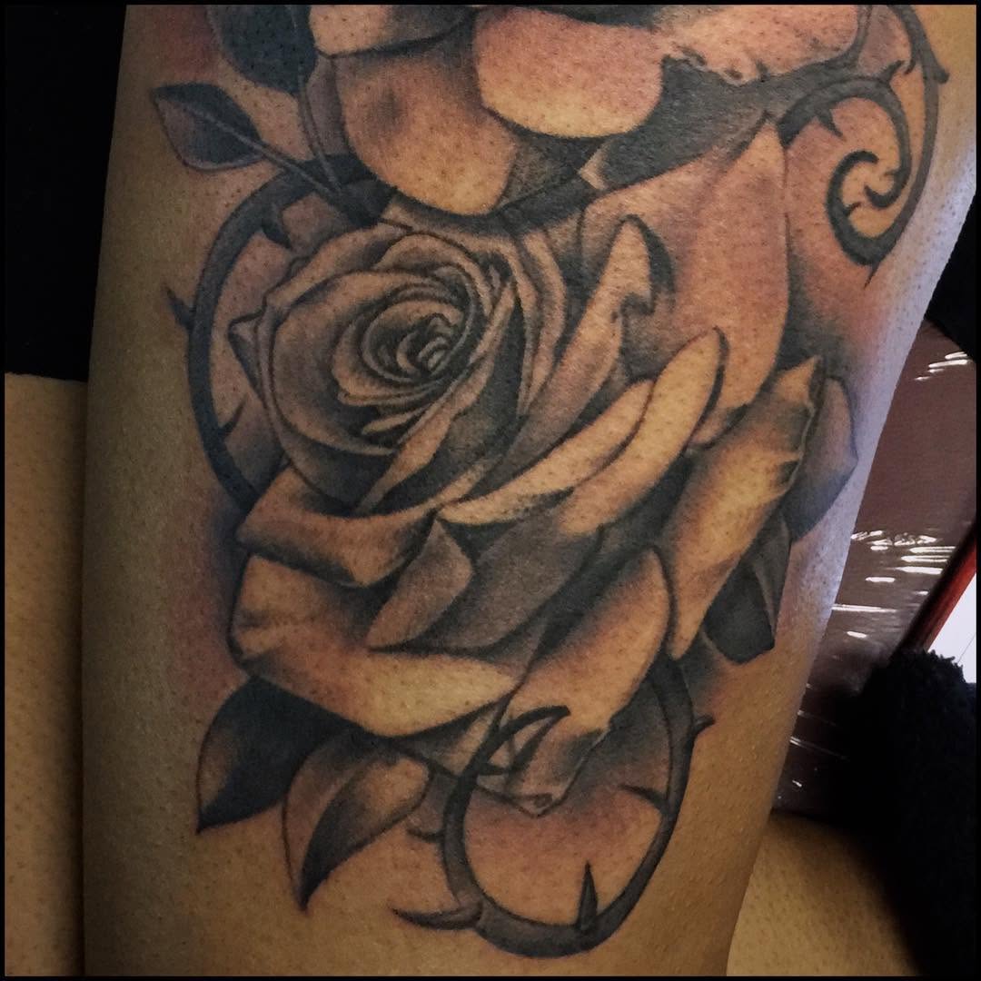 Flower, Rose