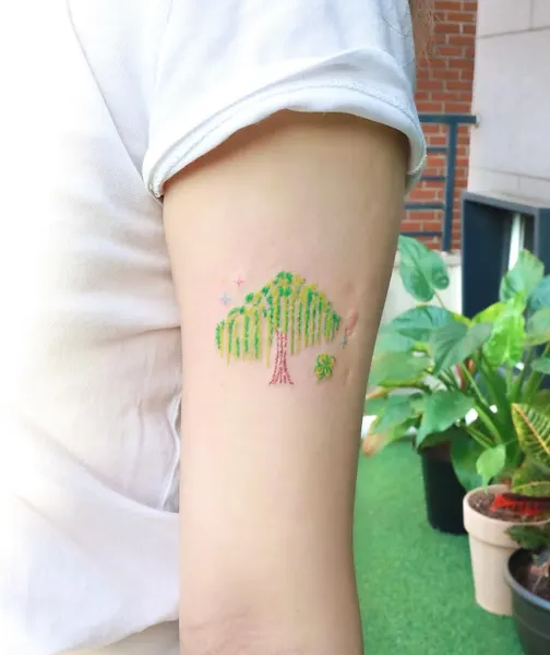 Nature, 풀, 선인장, 야자수