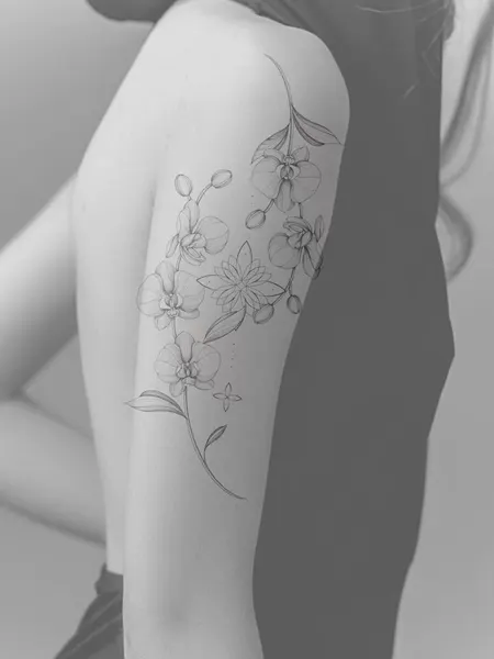 Flower, Rose