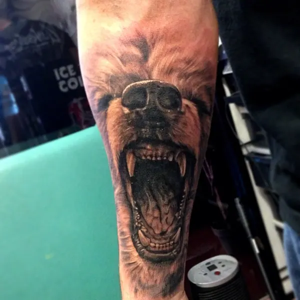 Animal, Tiger