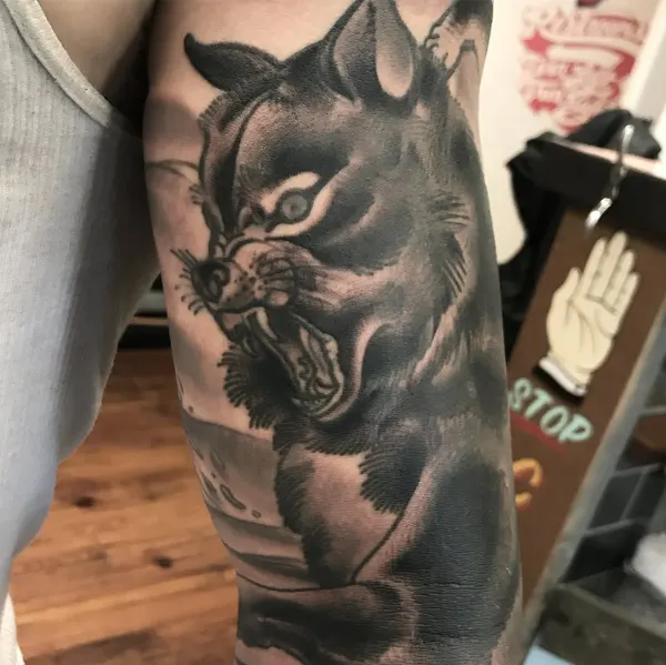 Tiger, Animal