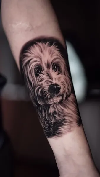 Animal