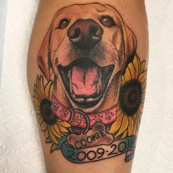 Animal