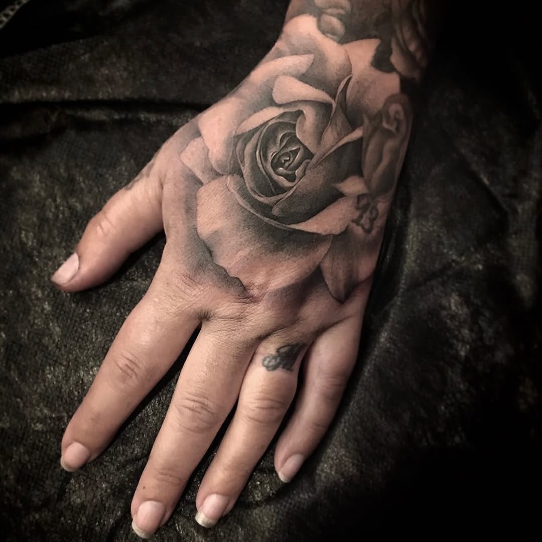 Flower, Rose