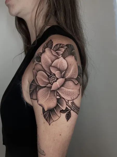 Flower, Rose, Nature