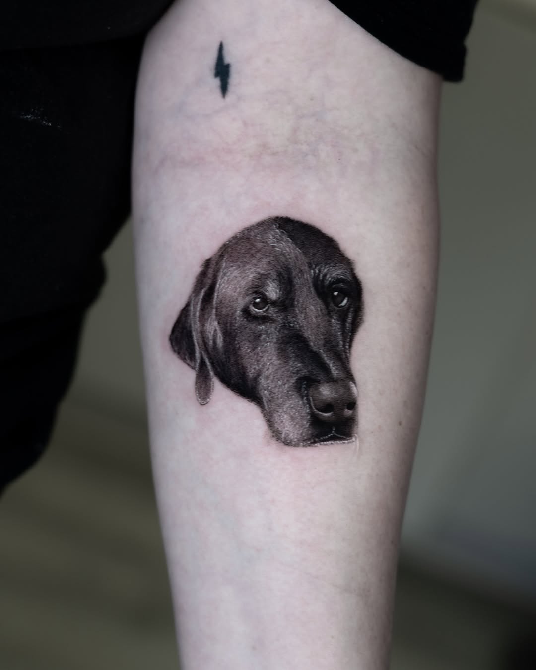 lewis.tattoo