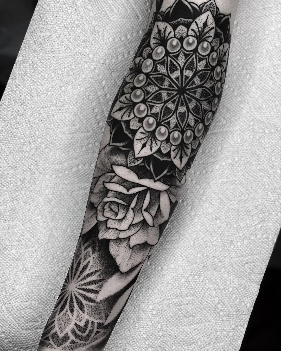 Flower, Rose