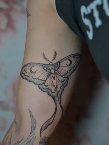 Animal, Nature