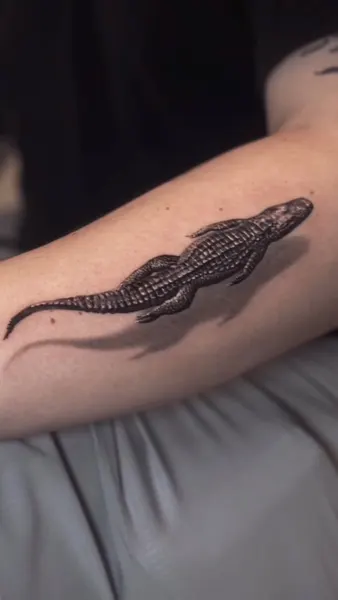 Dragon, 악어