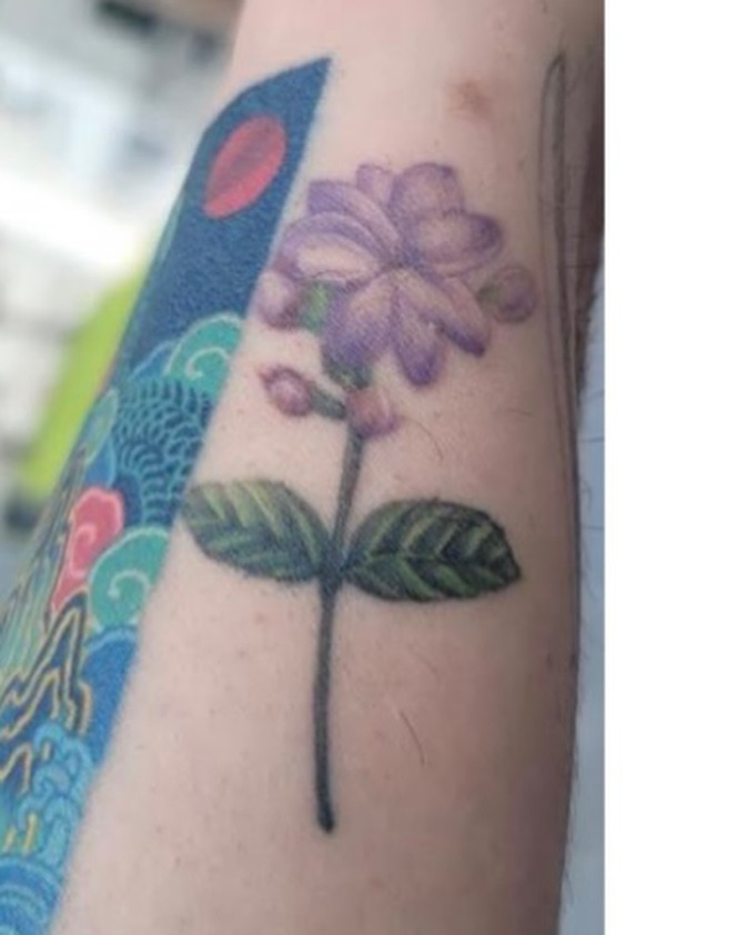 Flower, Rose