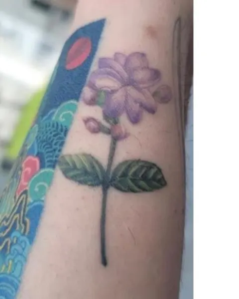 Flower, Rose