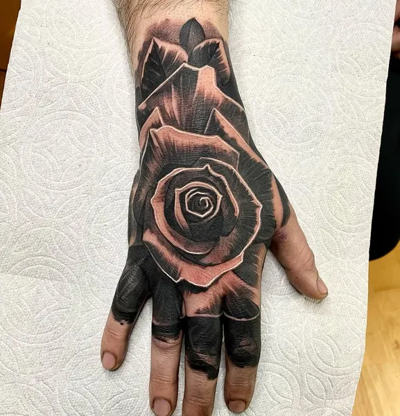 Flower, Rose