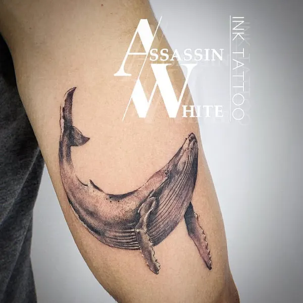 Assassin Houston