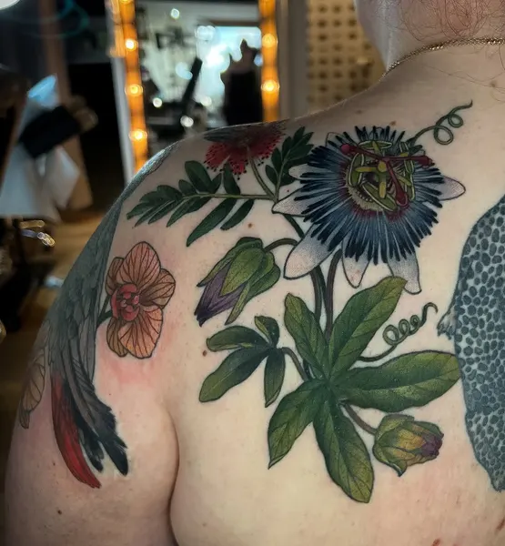 Flower, Nature, Rose