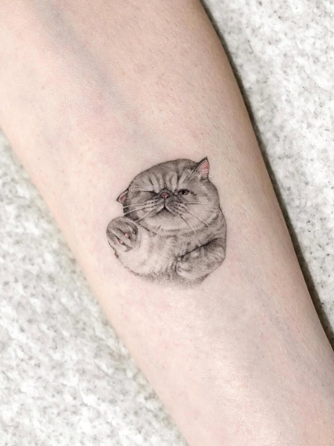 tatti_seoul
